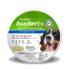 Vetality Avantect II Flea and Tick Collar for Dogs