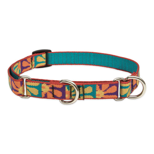 Lupine Pet Original Designs Martingale Training Collar