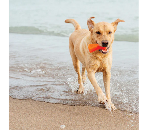 Bionic Bone Dog Toys