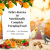 Lafeber Company Pellet-Berries for Cockatiels