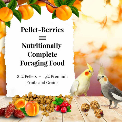 Lafeber Company Pellet-Berries for Cockatiels