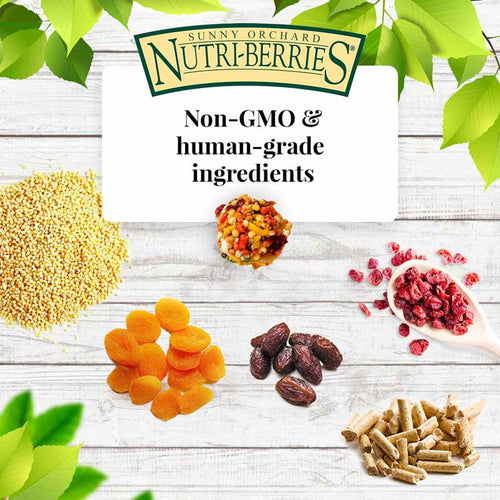 Lafeber Sunny Orchard Nutri-Berries for Parrots