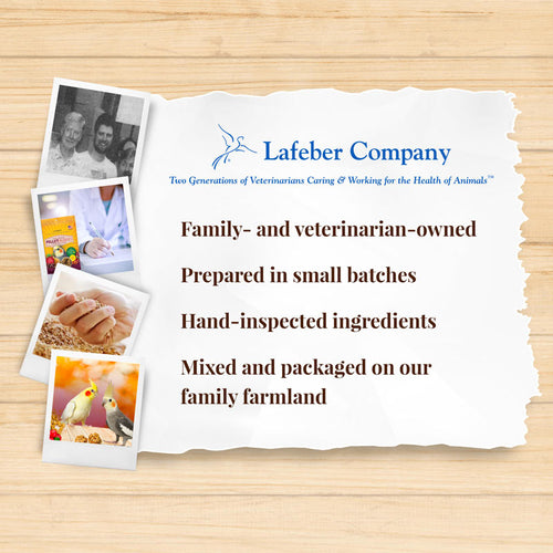 Lafeber Company Pellet-Berries for Cockatiels