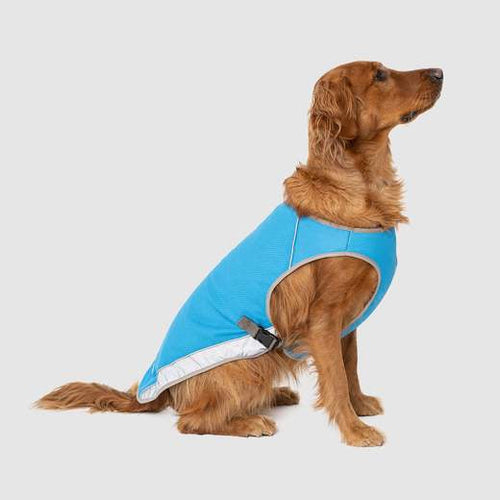 Canada Pooch Cooling Vest Aqua (14)