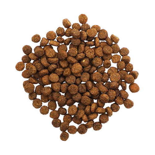 Petcurean GO! Digestion + Gut Health Salmon Recipe with Ancient Grains Dry Cat Food