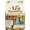 Higgins Intune Harmony Parakeet