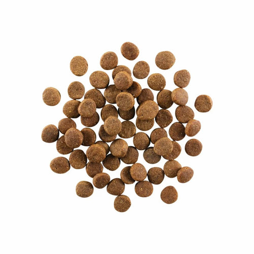 Petcurean GO! Solutions CARNIVORE  GRAIN-FREE CHICKEN, TURKEY + DUCK PUPPY RECIPE