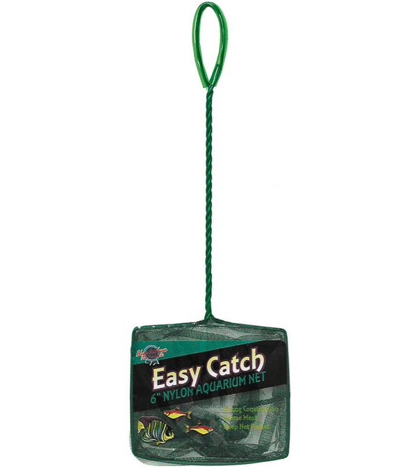 Blue Ribbon Pet Products EC-6C- Easy Catch 6 Inch Coarse Mesh Net - George Town, Cayman Islands - Savannah, Cayman Islands - Animal House Blue Ribbon Pet Products EC-6C- Easy Catch 6 Inch Coarse Mesh Net - George Town, Cayman Islands - Savannah, Cayman Islands - Animal House