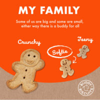 Cloud Star Buddy Biscuits Soft & Chewy Treats: Peanut Butter