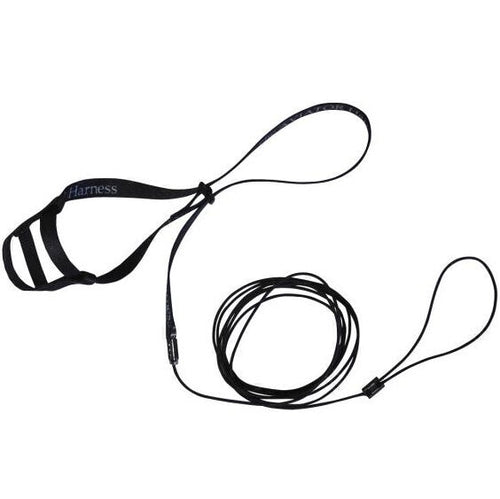 A & E Aviator Bird Harness & Leash