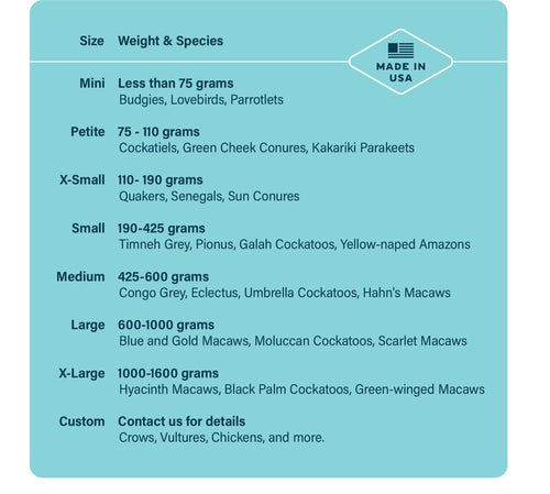 A & E Aviator Bird Harness & Leash