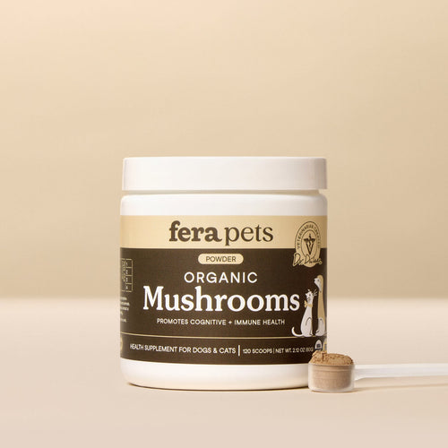 Fera Pet USDA Organic Mushroom Blend for Immune Support for Dogs & Cats