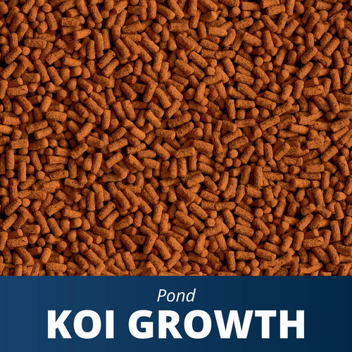 Tetra Koi Growth Food