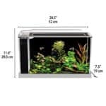 Fluval Spec Aquarium Kit