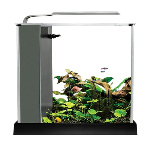 Fluval Spec Aquarium Kit, 2.6 US Gal / 10 L