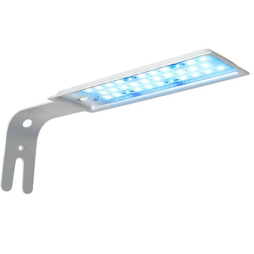 Fluval Spec Aquarium Kit, 2.6 US Gal / 10 L