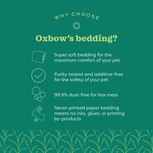 Oxbow Pure Comfort Oxbow Blend Bedding