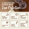 Primal Pet Foods Feline Kibble in the Raw Cat Food Chicken Recipe