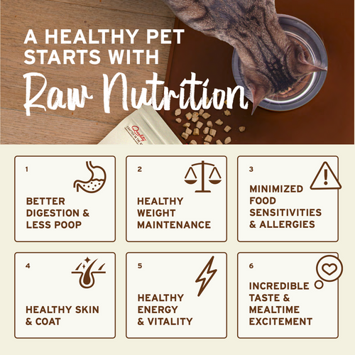 Primal Pet Foods Feline Kibble in the Raw Cat Food Chicken Recipe