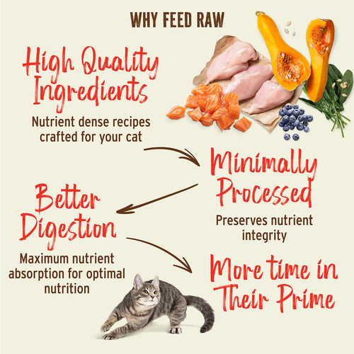 Primal Pet Foods Feline Kibble in the Raw Cat Food Chicken Recipe