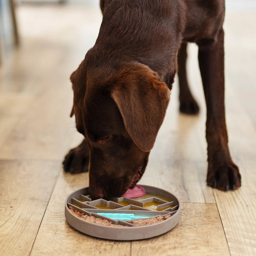 Messy Mutts Mountain Scene 8 Silicone Therapeutic Dog Lick Bowl-Interactive Dog Feeder