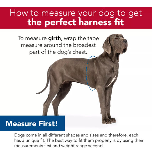Coastal Pet Products Easy Rider Adjustable Dog Car Harness
