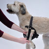 Coastal Pet Products Easy Rider Adjustable Dog Car Harness