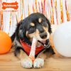 Nylabone Power Chew Textured Bone Dog Chew Toy 70th Birthday Orange Swirl