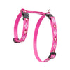 Lupine Pet Original Designs H-Style Cat Harness