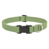 Eco Dog Collar, Adjustable, Moss, 1 x 12 to 20-In.