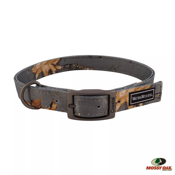 Coastal Water & Woods Double-Ply Patterned Hound Dog Collar (Country Roots Evergreen)