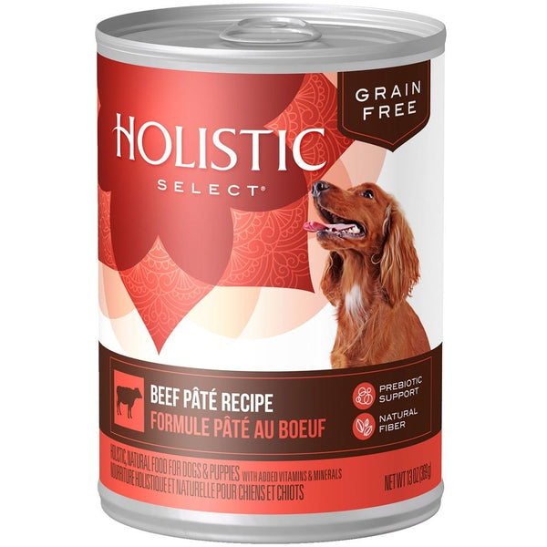 Holistic Select Natural Grain Free Beef Recipe Canned Dog Food - Main Image