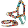 PetSafe Easy Walk Chic Donuts Dog Harness & Leash