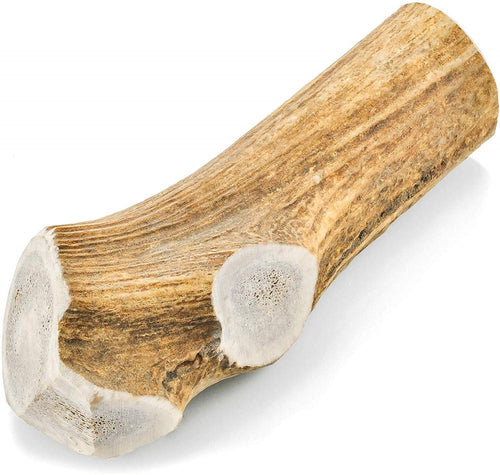 Barkworthies Whole Elk Antler Dog Chew for Extra Large Dogs