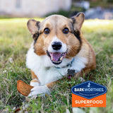 Barkworthies Turkey with Pumpkin, Sweet Potato & Carrot Superfood Jerky Dog Treats