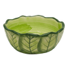 Kaytee Vege-T-Bowl, Cabbage, 16-ounce