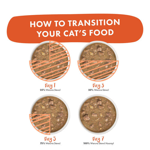 Weruva Cat Stew!  Taco Stewsday Beef, Chicken & Salmon Dinner in Gravy