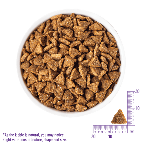 Wellness CORE Small Breed Healthy Weight Dog Food