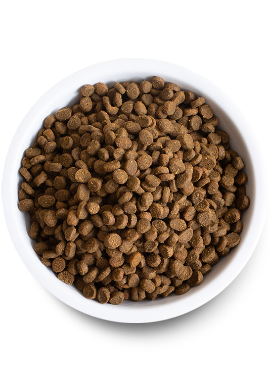 Open Farm Pasture-Raised Lamb Dry Cat Food