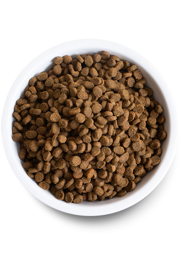 Open Catch-of-the-Season Whitefish Dry Cat Food