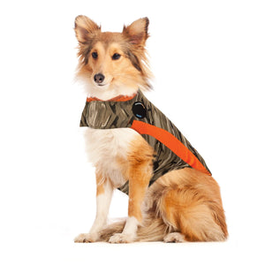 Thundershirt for large sales dogs