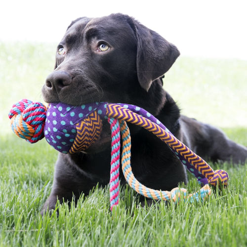 Kong Wubba™ Medley Dog Toy