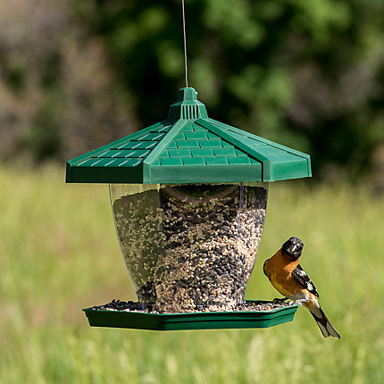 Perky pet bird feeder discount