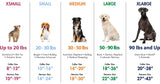 Coastal Pet Products No! Slip Martingale Adjustable Dog Collar