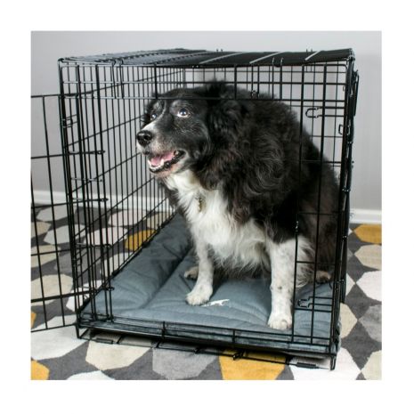 Tall Tails Dream Chaser Classic Dog Crate Bed