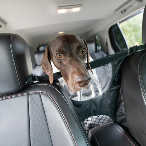 Coastal Pet Bergan Auto Travel Dog Barrier