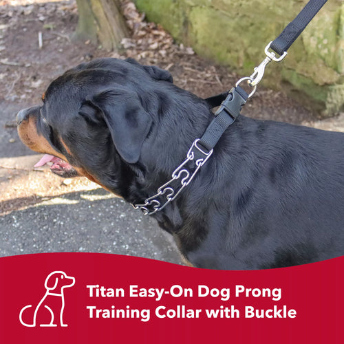 Coastal Pet Titan Easy On Dog Prong Training Collar with Buckle