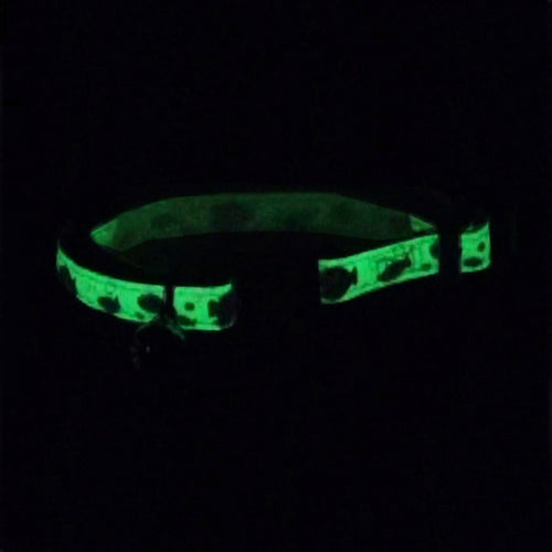 Coastal Pet Safe Cat Glow in the Dark Adjustable Breakaway Collar