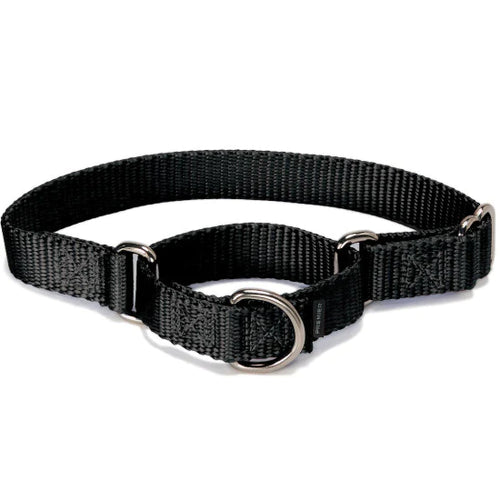 Petsafe martingale online
