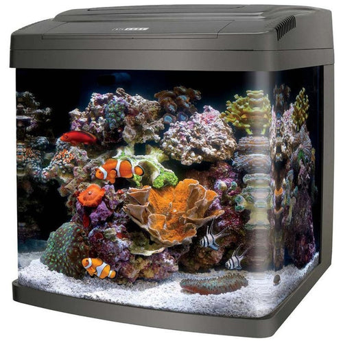 CORALIFE BIO CUBE LED AQUARIUM